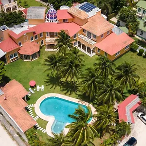 Flores Cancún
